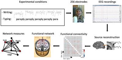 Handwriting but not typewriting leads to widespread brain connectivity: a high-density EEG study with implications for the classroom